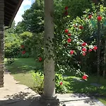 Appartement Lucherina Stresa